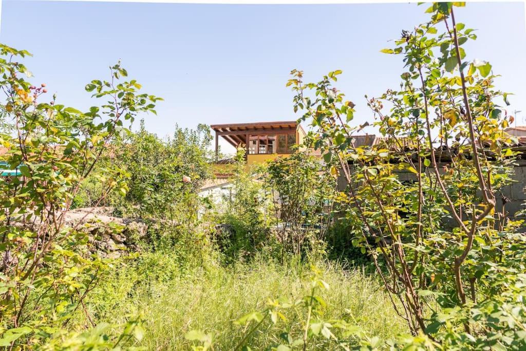 Casa La Vera Rural Talaveruela Exteriér fotografie